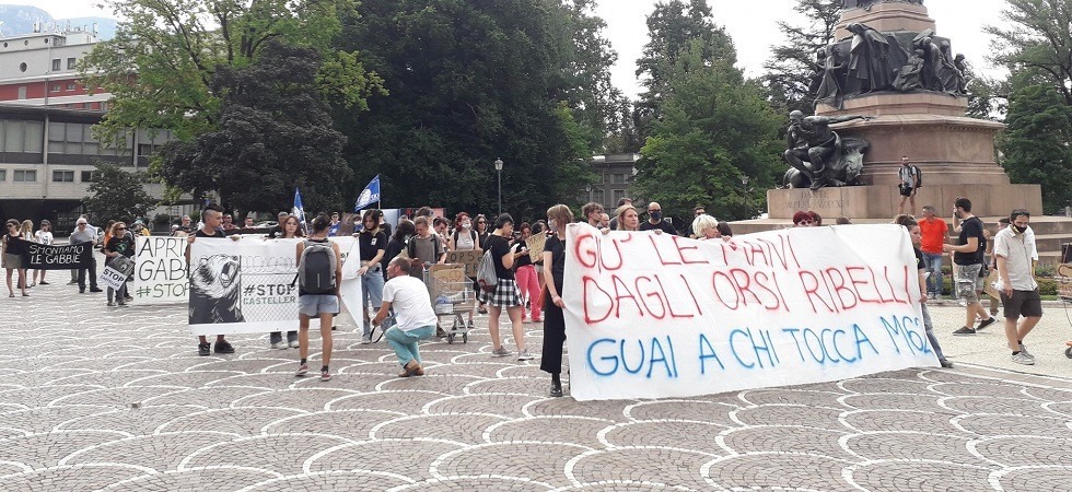 Foto Paolo Scarian Stopcasteller, da tutta Italia contro la Giunta Fugatti: “Ammazzano gli orsi per rispondere alle pressioni degli allevatori”